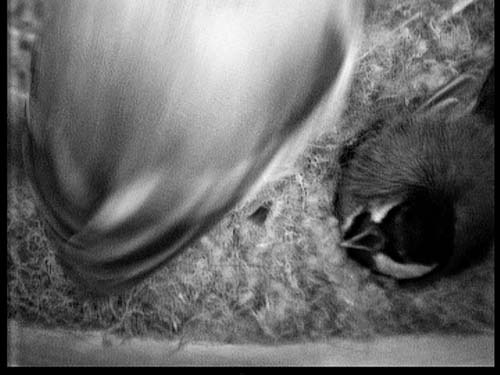 2009-05-08_1421