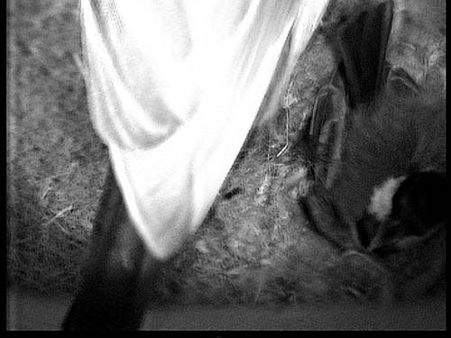 2009-05-12_0703