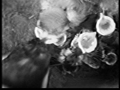 2009-05-28_1704