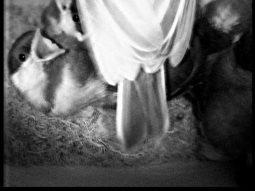 2009-06-04_0638