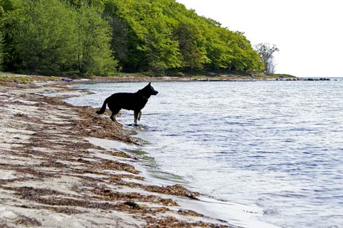 Kelly p Fakse Ladeplads strand