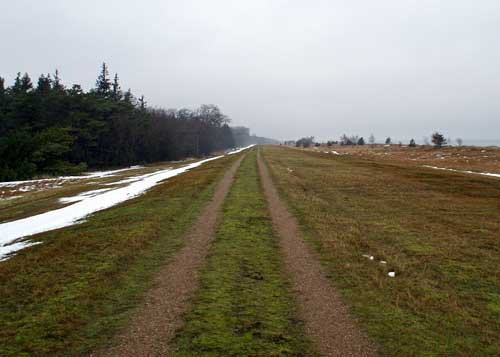 Diget nord for Gedesby Strand